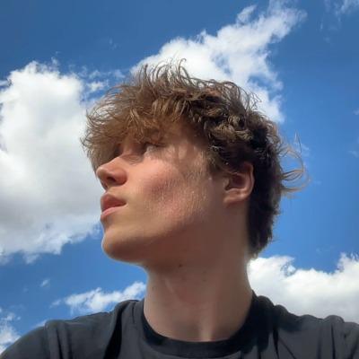 Harrison Todd