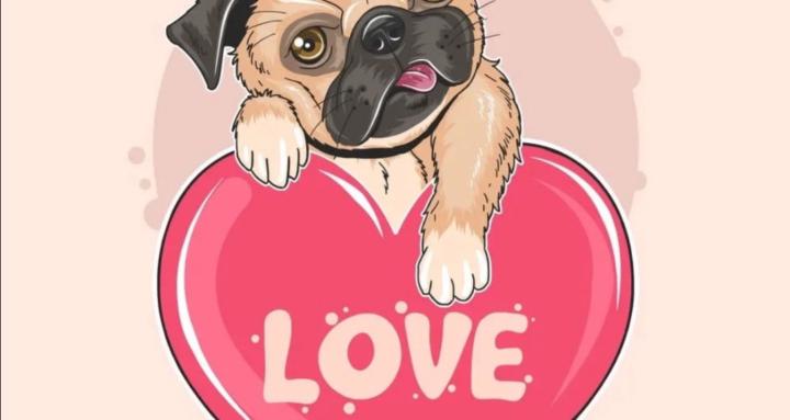 Pet Lovers Community 