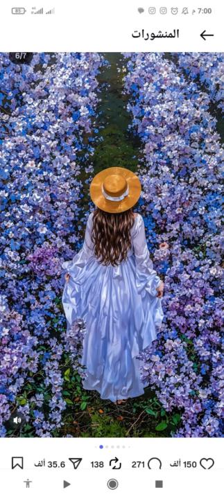 وفاء الوهابي