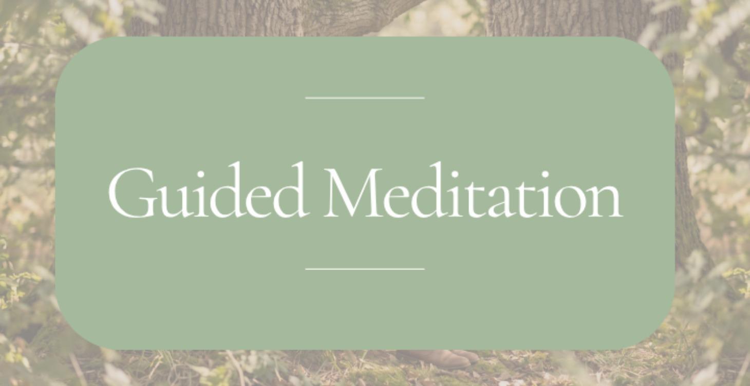 Guided Meditation