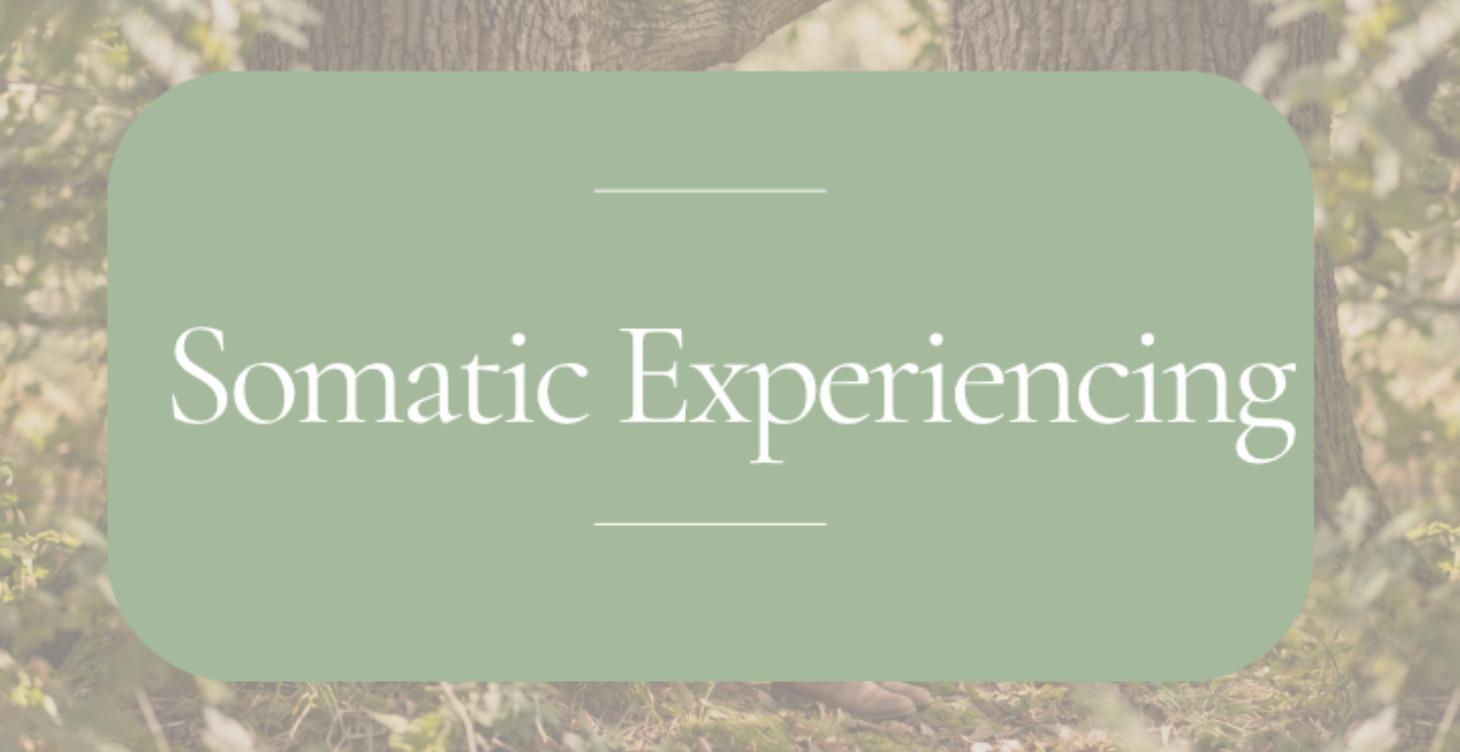 Somatic Experiencing