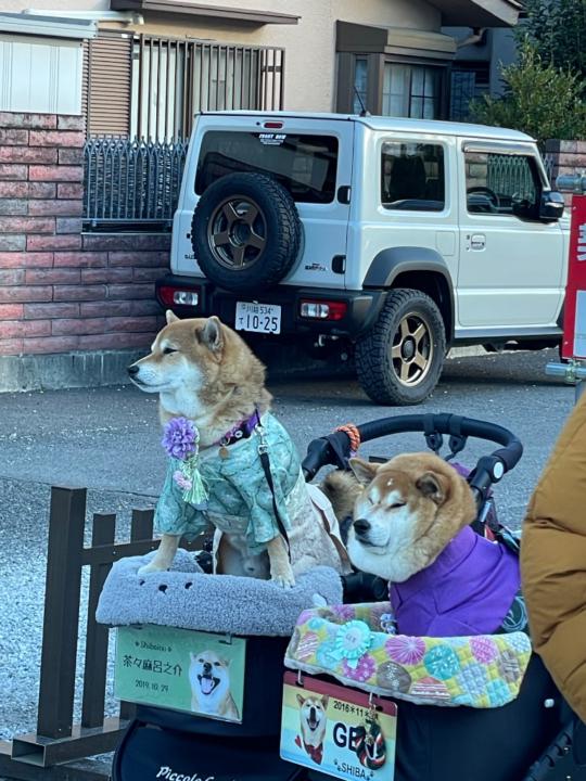 許 ㄓㄜ ㄩㄓㄜ ㄩ哲源