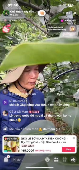 Tran Minh tam