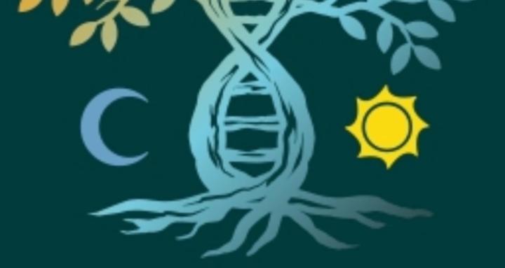 Star Gene Design Skolan