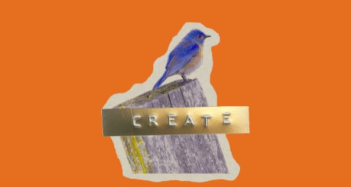 Creative Momentum Studio