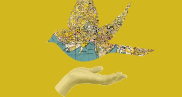 The Creative Flow Studio 