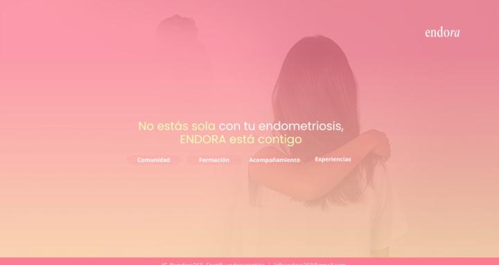 ENDORA l PLATAFORMA ONLINE 