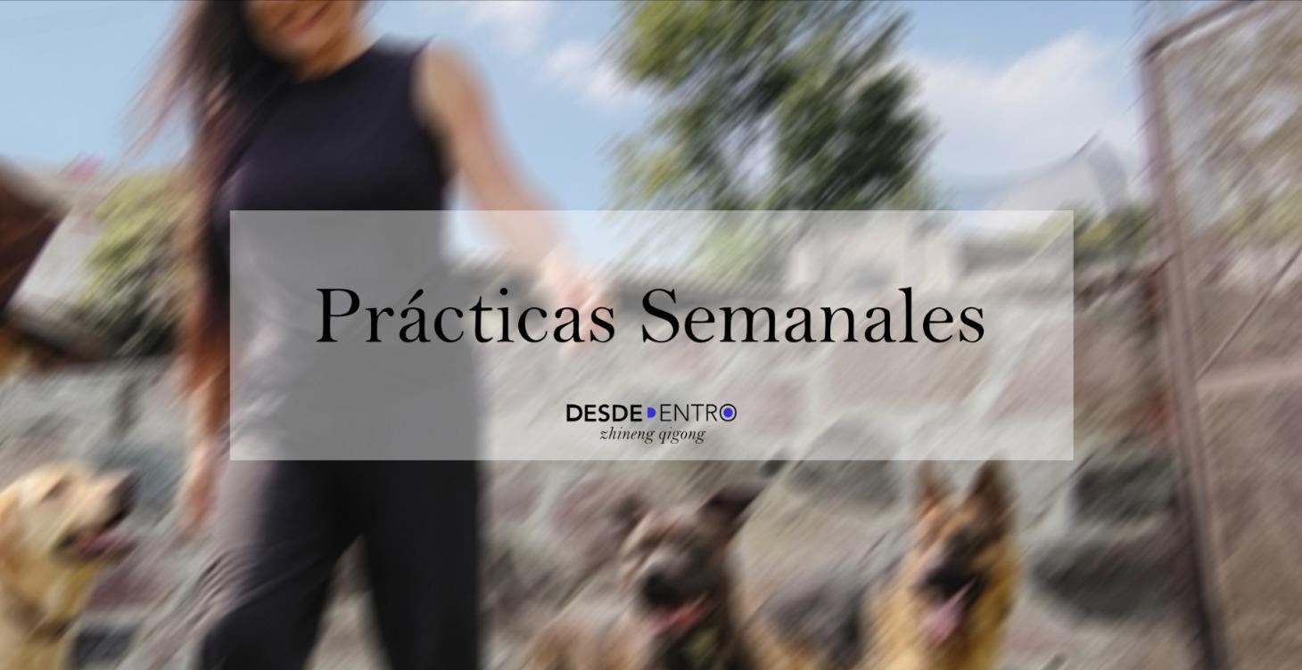Prácticas Semanales