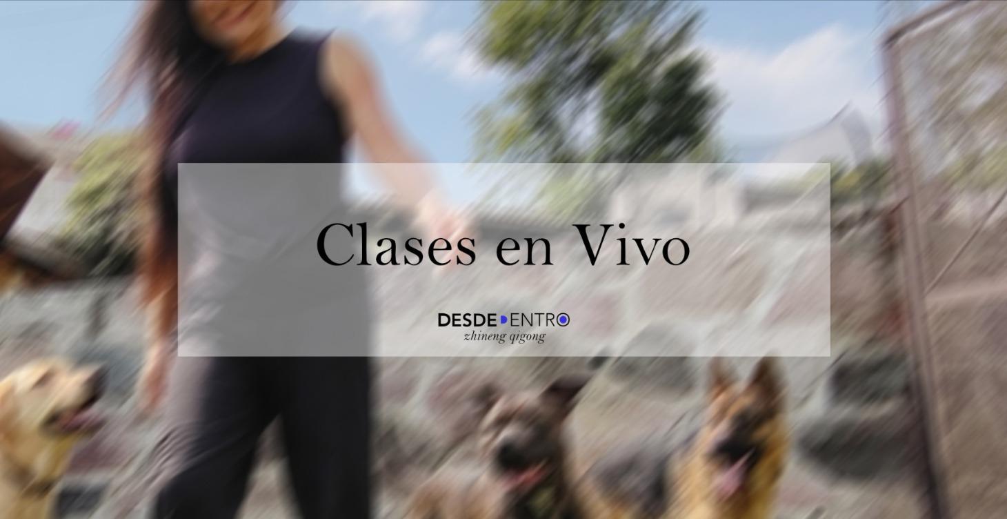 Clases en Vivo
