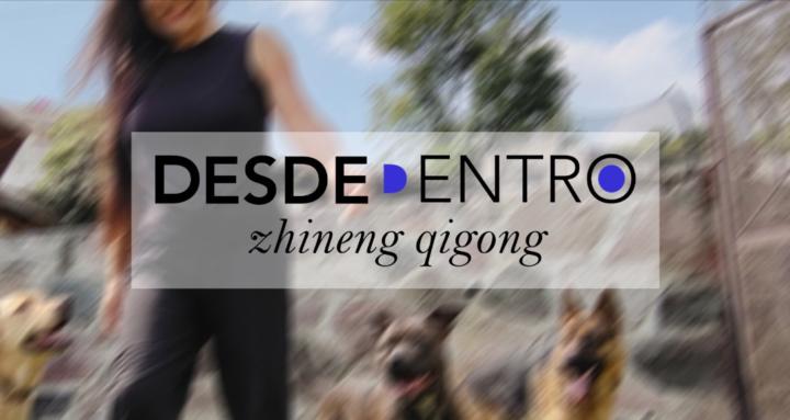 DesdeDentro Zhineng Qigong