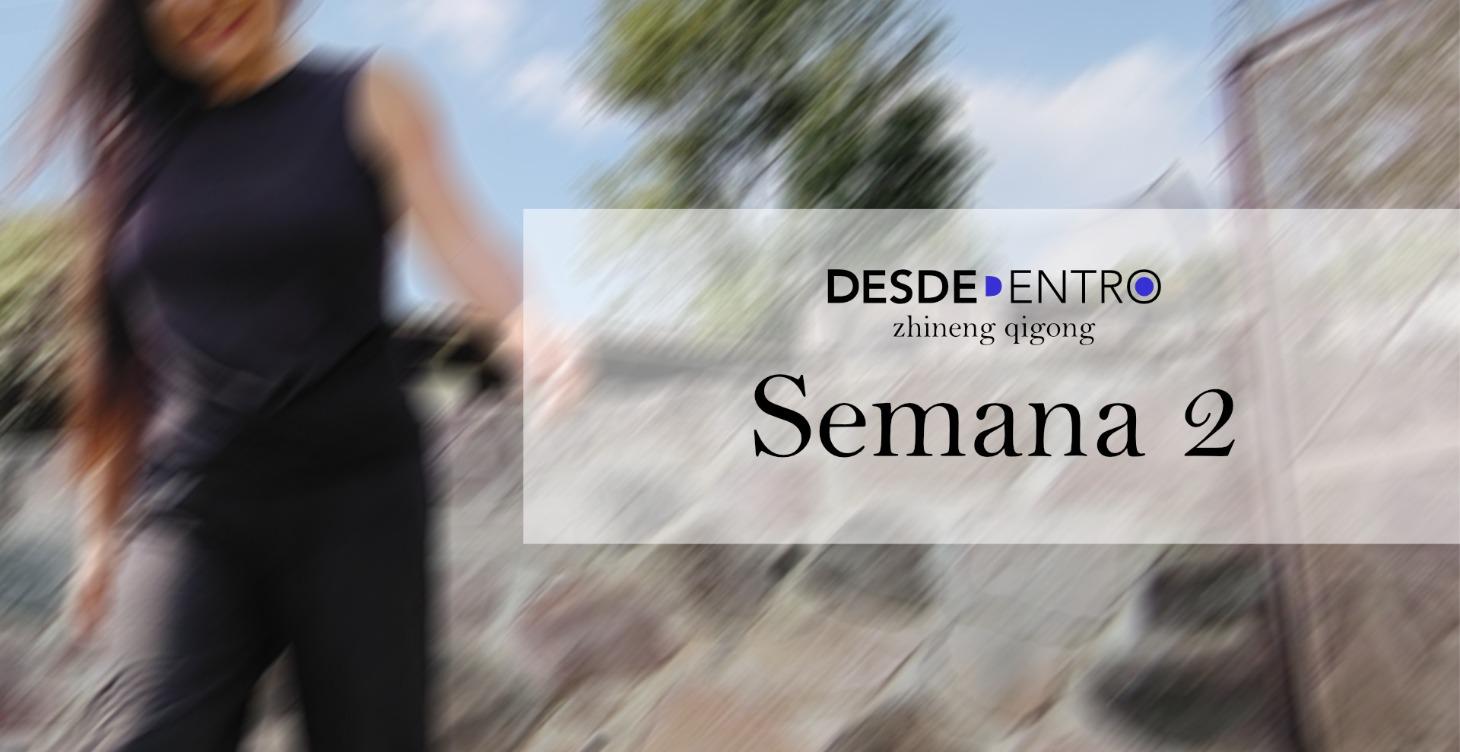 Semana 2