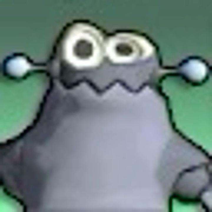 Gabriel Borges Rodrigues