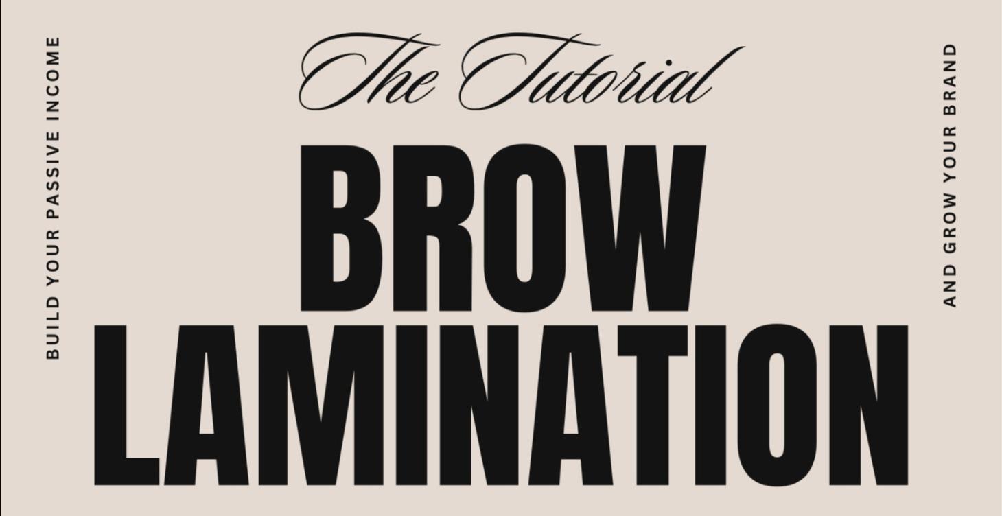 Brow Lamination and Tint Tutorial