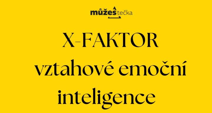 3 - měsíční PROGRAM X-FAKTOR 