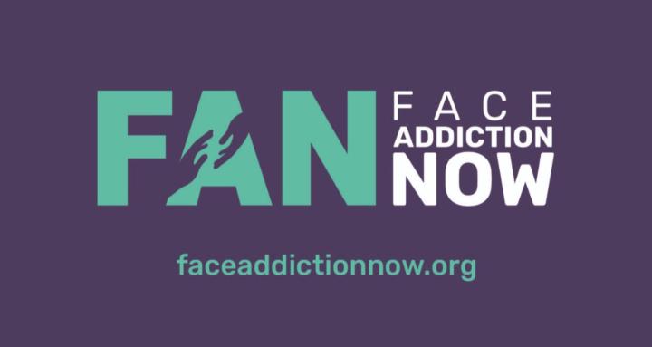 Face Addiction Now Chapters