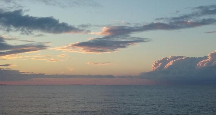 Open Strings Collective