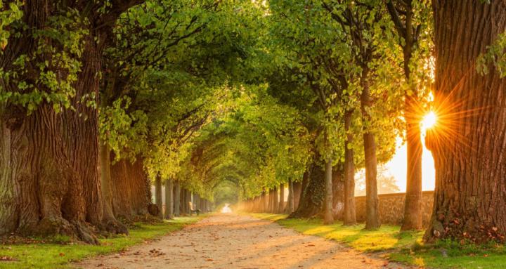 The SAFE Formation Path™