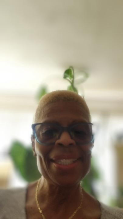 Narda Bailey-Waddy
