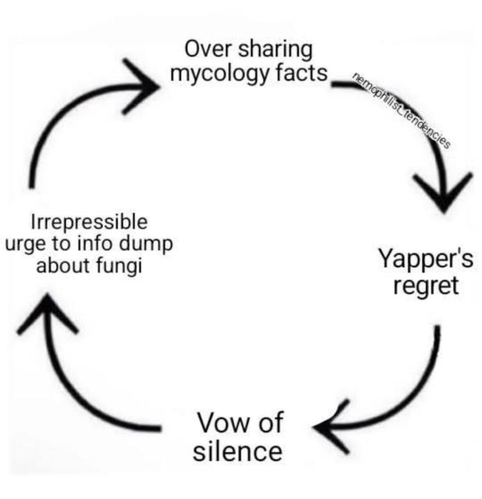 True 