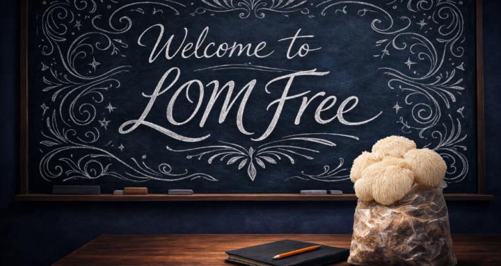 LOM Free