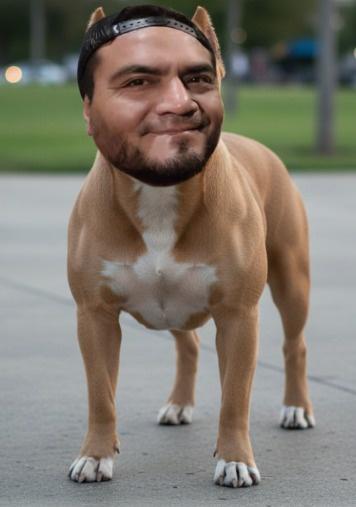 Manuel fredy Aguedo lucero