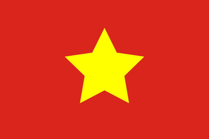 Have you ever been to Vietnam during 2/9 ?