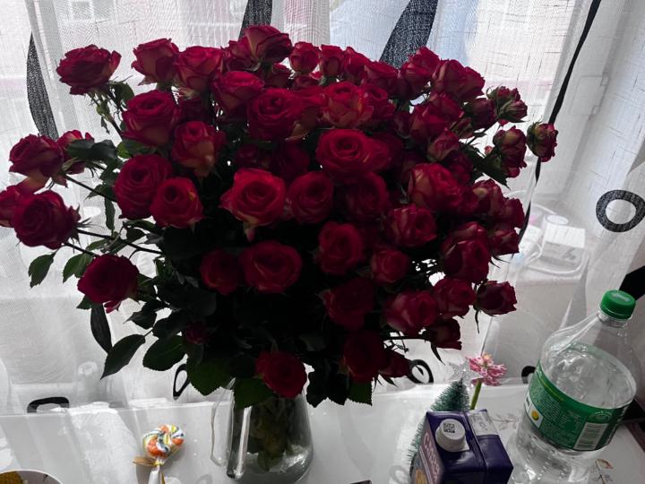 Yanjinlkham Tserennadmid