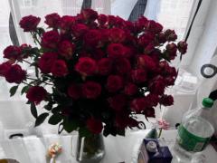 Yanjinlkham Tserennadmid