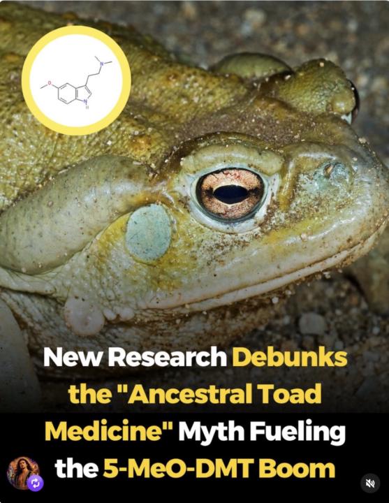 Bufo ‘indigenous Lineage’ debunked