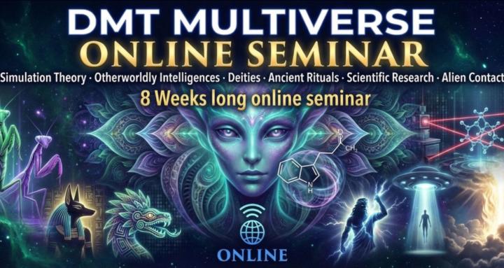 DMT Academy