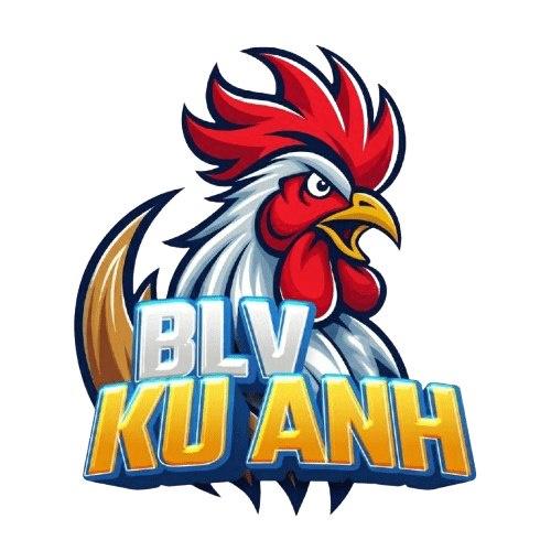 Blvkuanh Net