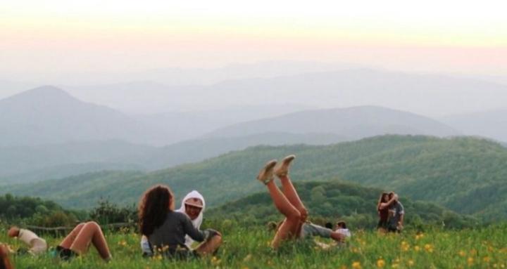 🎪🎠The Playground🎡 🛝