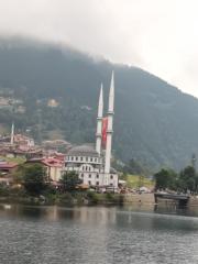 Aiman Alsalehi