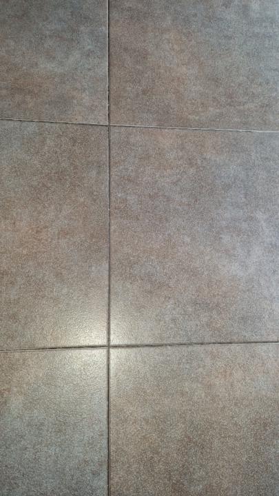 Olatz Tolosa echevarria