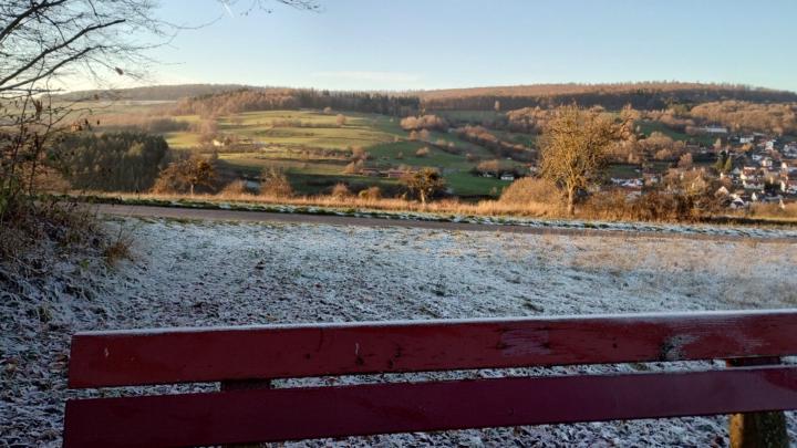 Natascha Voigtländer