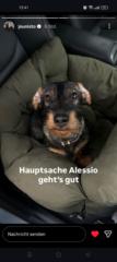 Tobias Hebestreit