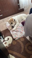 Димитър Иванов