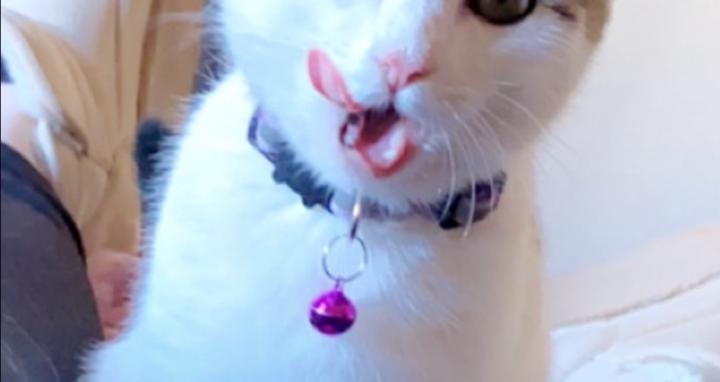 Brookie’s Boutiques