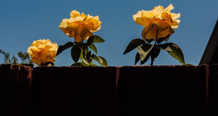 Abstract Street Photography