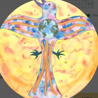 Awakened Life Collective