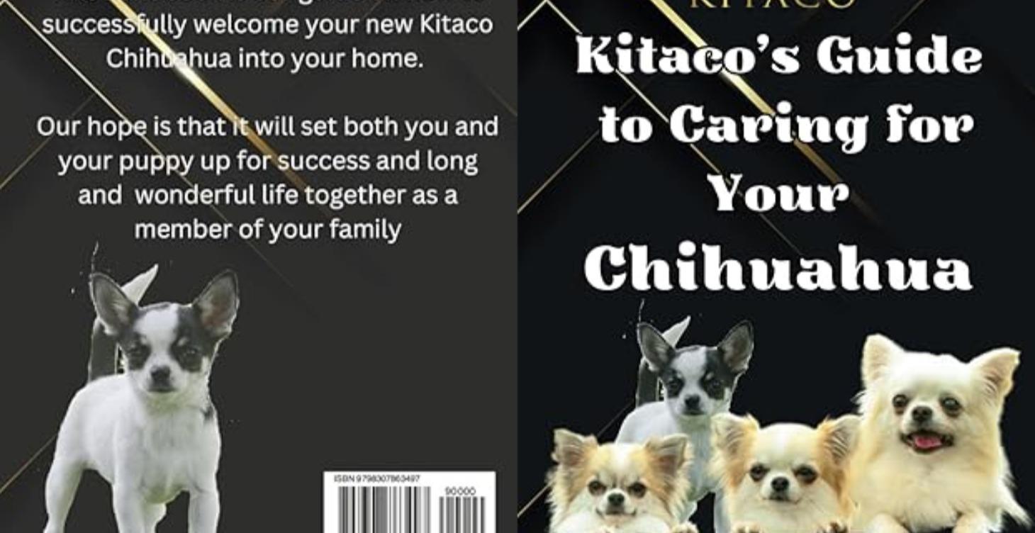 The Ultimate Kitaco Guids to Chihuahua Puppies