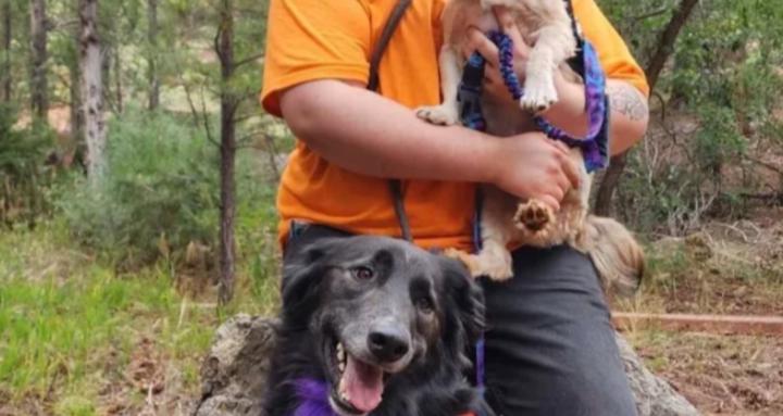 Lavender side training