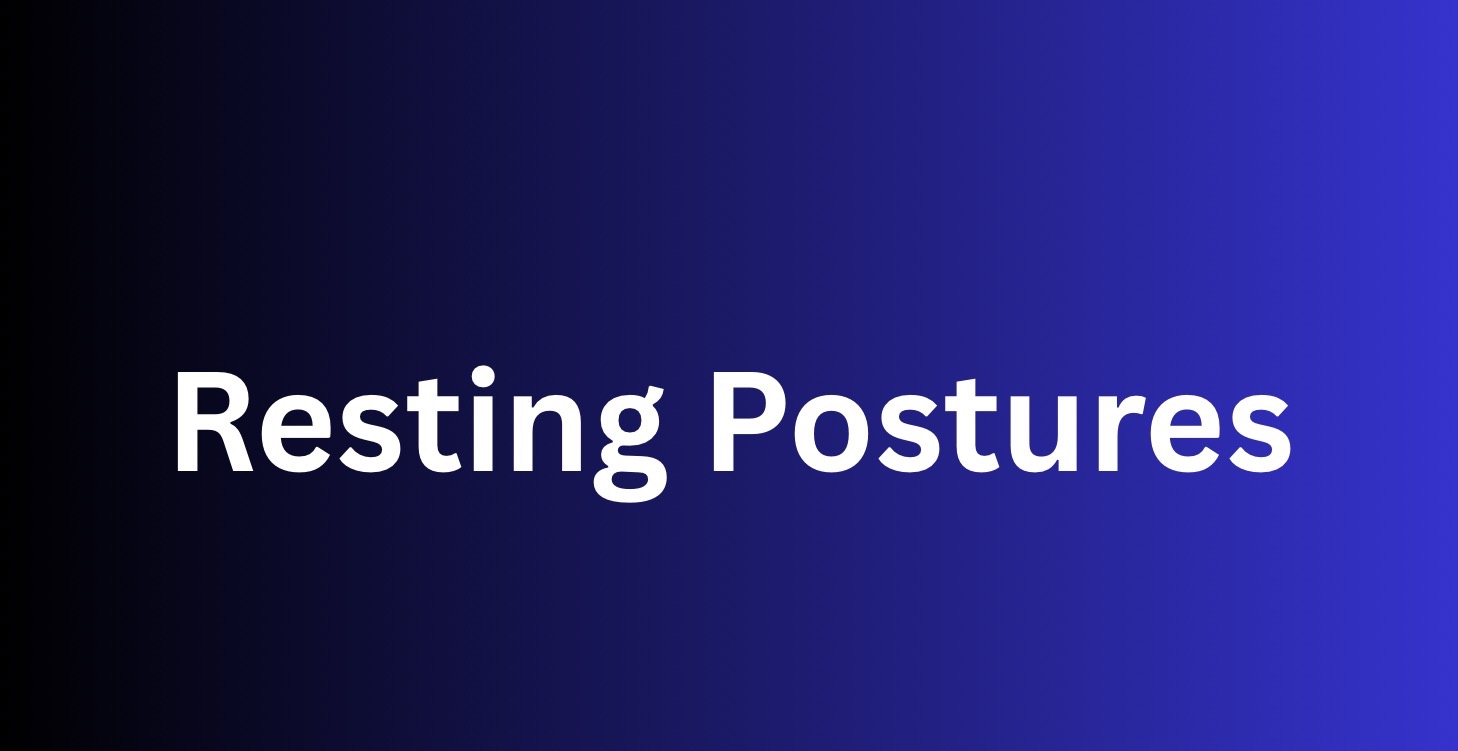 Resting Postures Breakdown