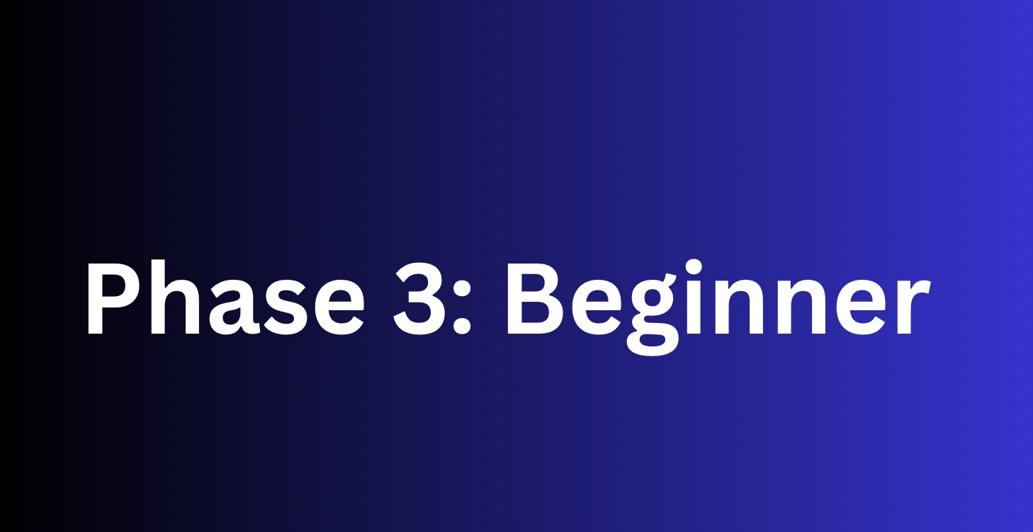 Phase 3: Beginner