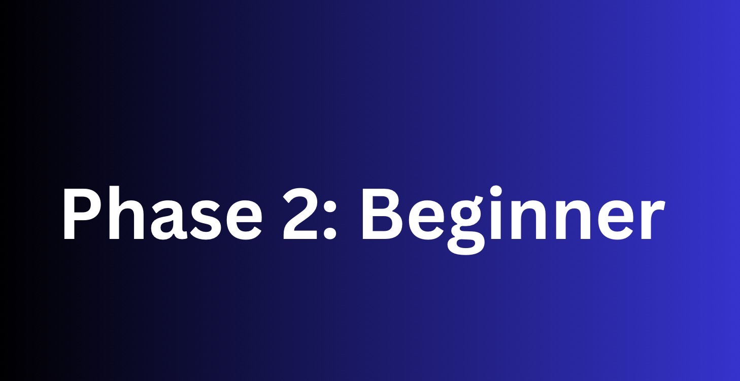 Phase 2: Beginner