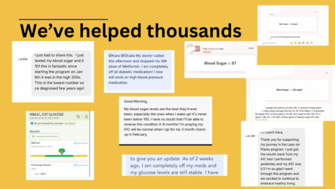 The Blood Sugar Reset gallery image