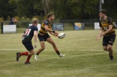 Max Curtis