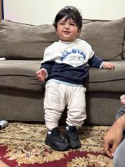 Rameez Gohar