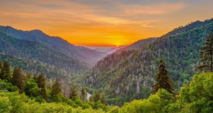 The Other a bonus parent help