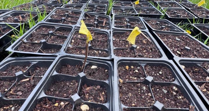 Farming for Gardeners